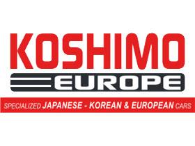 KOSHIMO 6PK1900 - CORREA ACANALADA TIPO V